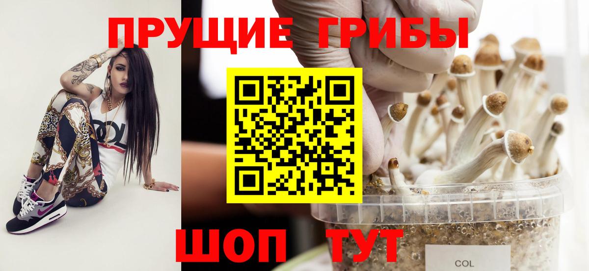 Псилоцибиновые грибы Magic Shrooms  Вход с VPN  Пугачёв  Галлюциногенные грибы мицелий 